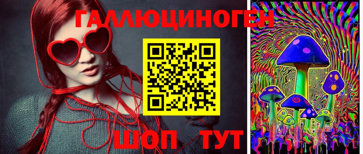 Галлюциногенные грибы мицелий  Вход с VPN  Бердск 