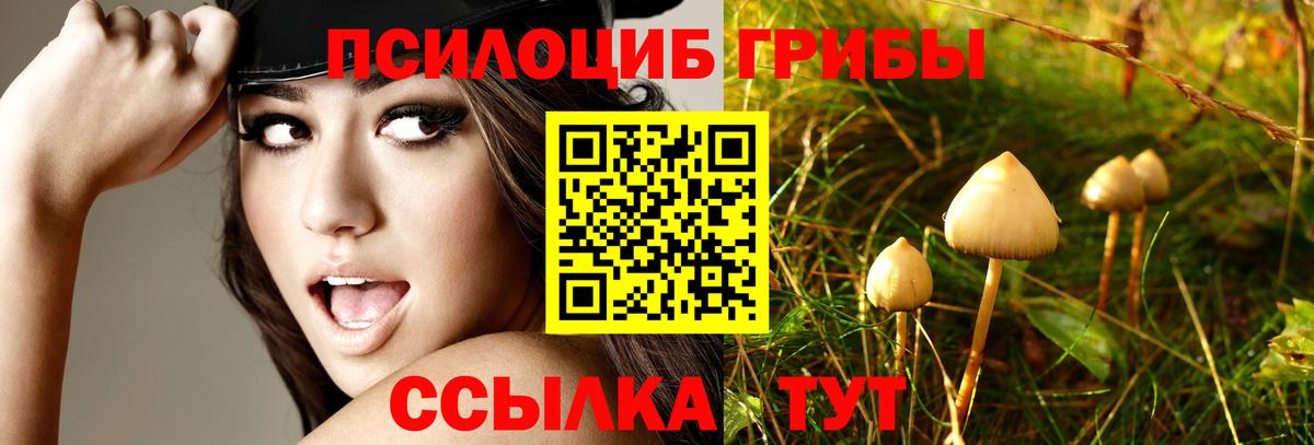 Галлюциногенные грибы прущие грибы Бердск